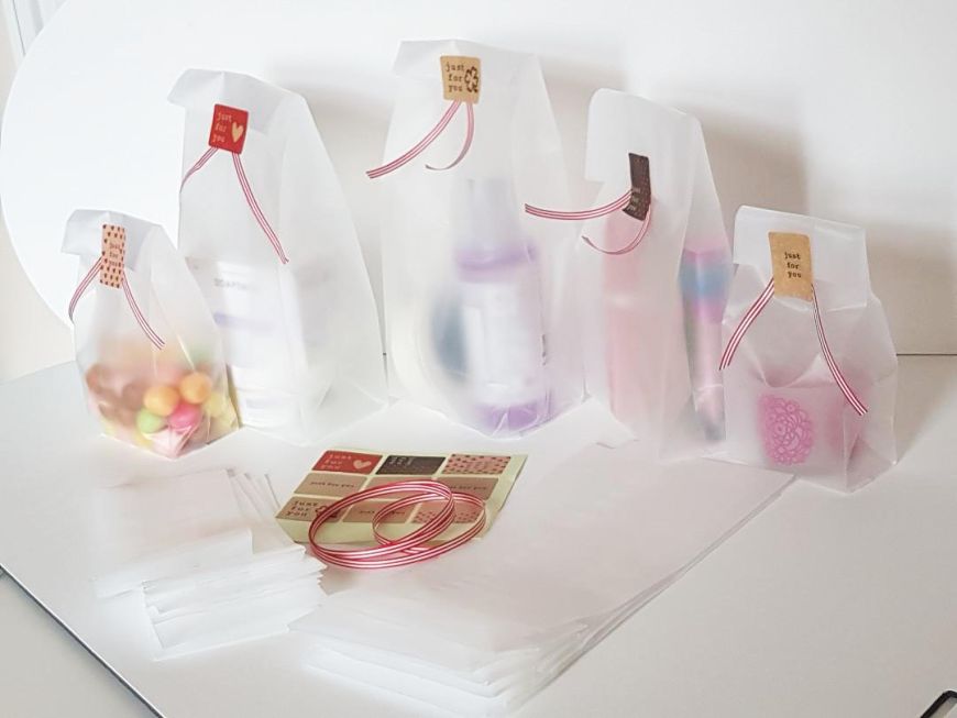 Clear frosted 2025 bags