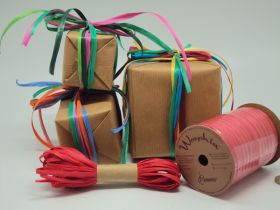 10M CUT Berwick Matte Raffia ribbon - Red 