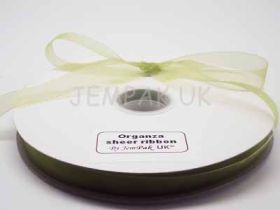 5M x 15mm Organza sheer ribbon - Apple green