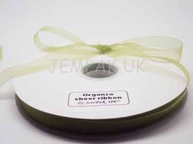 5M x 10mm Organza sheer ribbon - Apple green