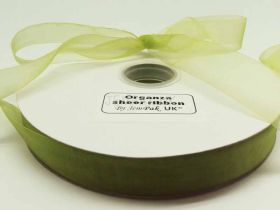 5M x 25mm Sheer ribbon - Apple green