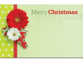 Pack of 10 "Merry Christmas" Stocking mini enclosure gift cards (9cm x 6cm) 