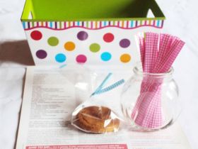 4" Gingham checker design metallic twist ties  - Pink (Pack of 50)