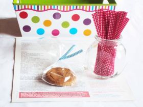 4" Gingham checker design metallic twist ties  - Red (Pack of 50)