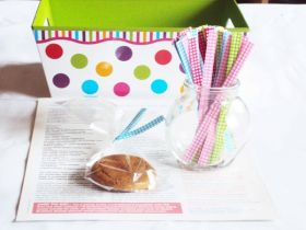  4" Gingham checker design metallic twist ties  - Assorted colours (Pack of 50)