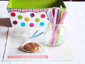 4" Gingham checker design metallic twist ties  - Assorted colours (Pack of 100)