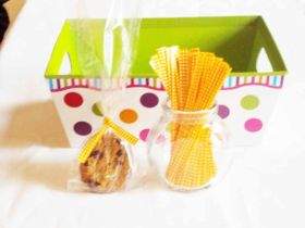 JEMPAK UK Pack of 50 Small clear gusseted cellophane bags (3" x 1¾" x 8¼") including 4" yellow gingham twist ties