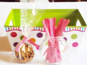 JEMPAK UK Pack of 50 Small clear gusseted cellophane bags (3" x 1¾" x 8¼") including 4" Red gingham twist ties