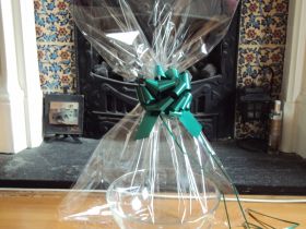 20" x 30" round bottom cellophane basket bags with GREEN pull bow (Pack of 1)