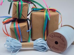 10M CUT Berwick Matte Raffia ribbon - Light blue 