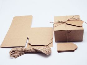 Pack of 10 BROWN KRAFT Gift/favour boxes with hinged lid (10cm x 10cm x 5cm). Jute string & kraft tags included