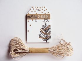 Pack of 10 Merry Christmas Manger Printed Gift tags with Cream & Gold Baker's twine - (6cm x 9cm)