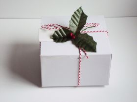 Pack of 10 white high Gloss Gift/favour boxes with hinged lid (10cm x 10cm x 5cm) with Red bakers twine, gift tags & artificial holly leaves with berries