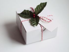 Pack of 10 white high Gloss Gift/favour boxes with hinged lid (13cm x 13cm x 8cm) with Red bakers twine, gift tags & artificial holly leaves with berries