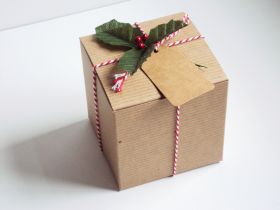 Pack of 10 BROWN KRAFT Gift/favour boxes with hinged lid (10cm x 10cm x 10cm) with Red bakers twine, gift tags & artificial holly leaves with berries.
