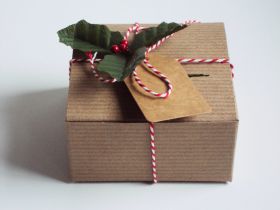 Pack of 10 BROWN KRAFT Gift/favour boxes with hinged lid (13cm x 13cm x 8cm) with Red bakers twine, gift tags & artificial holly leaves with berries