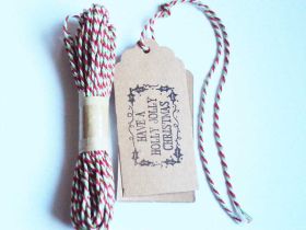 JEMPAK UK Pack of 10 "Merry Xmas" Kraft gift tags with 5M xmas colour Baker's Twine