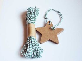 JEMPAK UK Pack of 20 blank Star shape Kraft gift tags with 10M Green Baker's Twine 