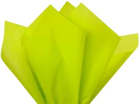 Pack of 4 tissue paper - Lime green (51cm x 76cm)