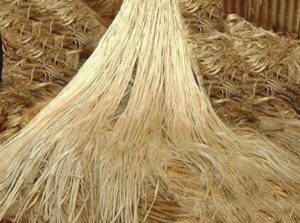 jute fibre
